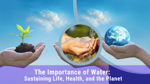 The Importance of Water, the importance of water purification, what is the importance of water, Water conservation, Water resource management, Global Water Partnership (GWP), Water Action Hub, water and human health, Water and Life,