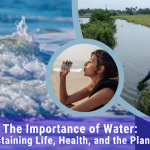 The Importance of Water: Sustaining Life, Health, and the Planet