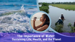 The Importance of Water, the importance of water purification, what is the importance of water, Water conservation, Water resource management, Global Water Partnership (GWP), Water Action Hub