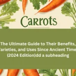 carrots, carrots health benefits, carrots nutrition, beta-carotene benefits, vitamin A in carrots, carrots and eye health, antioxidants in carrots, carrots for immune support, carrots and skin health, dietary fiber in carrots